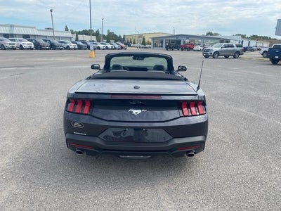 2024 Ford Mustang EcoBoost Premium